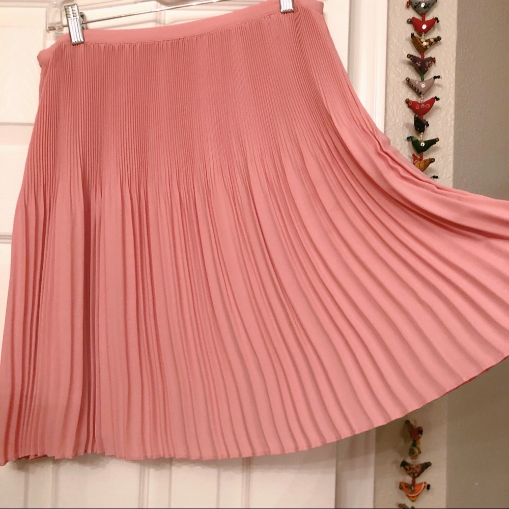 🌸 Pleated LOFT skirt